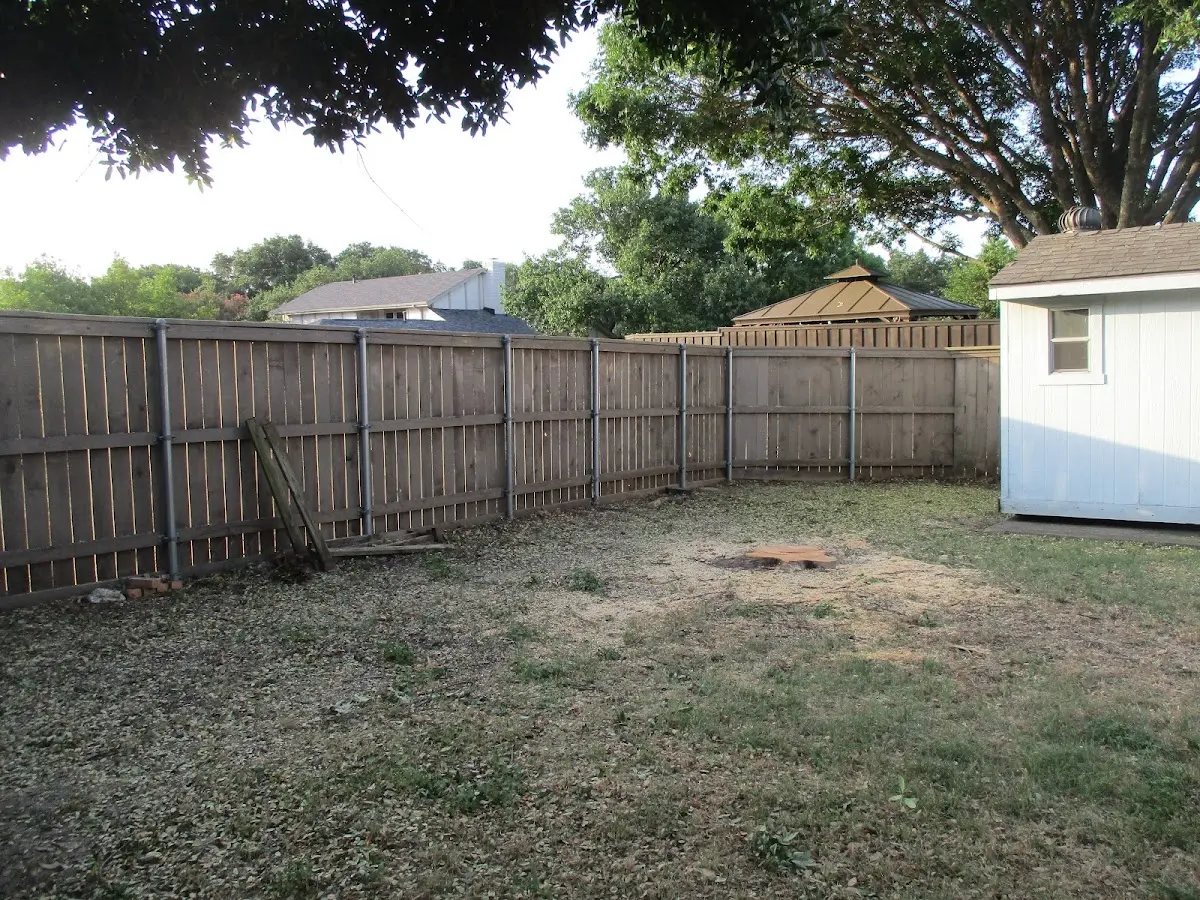 Cleared yard after professional tree removal in Port Ewen